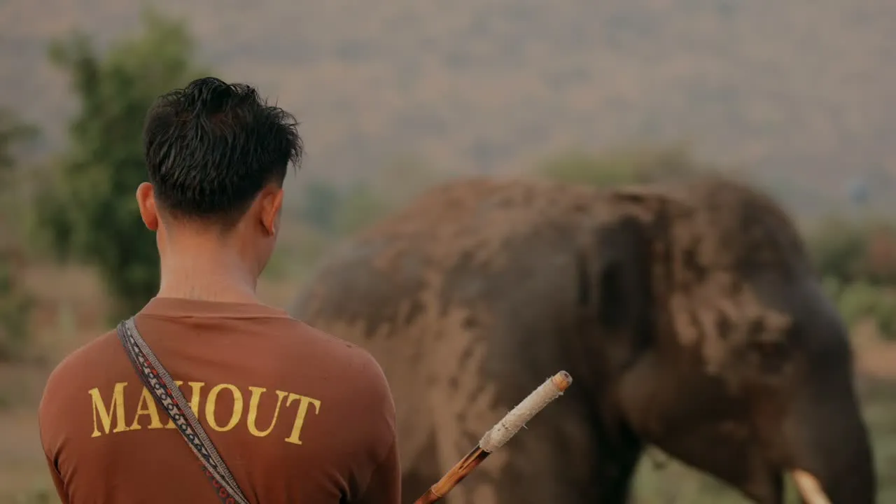 Elephant World 본편 포스터